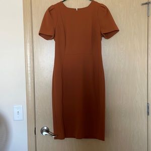 Calvin Klein Burnt Orange Dress